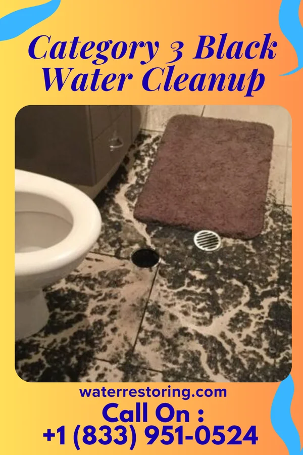 Category 3 Black Water Cleanup in Fayette, UT
